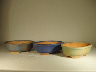 P1100078.jpg